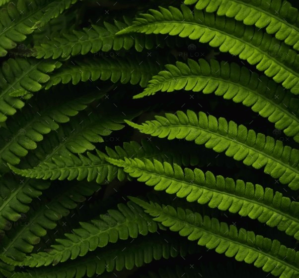 Daniel Mirlea FxiAxNLpoqI Unsplash@2x