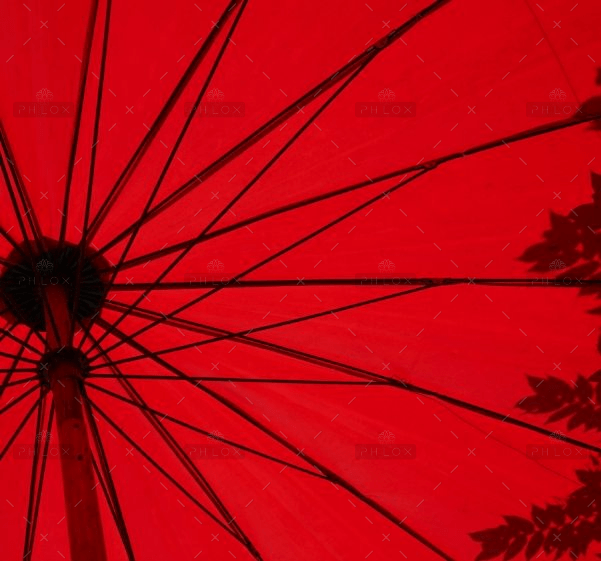 Loic Furhoff YERwza88a0o Unsplash@2x